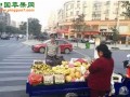 山東濟南：水果上市量大　價格下滑明顯 ()