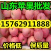 山東美八/嘎啦蘋果/黃金梨產地大量上市