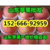 山東美八/嘎啦蘋果/冷庫紅富士產地價格便宜