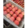 供應山東紅富士蘋果清庫處理價格0.5一斤