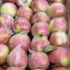 15269999198山東嘎啦蘋果大量上市了