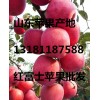 出售山东早熟苹果，冷库红富士常年供应