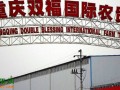 重庆：国际水果采购节隆重开幕 ()