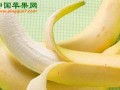 老挝政策调整致使香蕉出口下降 ()