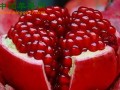 陕西临潼：统一部署　整顿石榴销售市场 ()