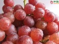 黑龙江克东县：提子节助力电商扶贫富农 ()