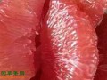 广西百色：红肉蜜柚成了“致富果” ()