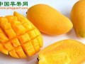 海南三亚：芒果产业发展迅速 ()