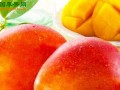 入选“百强品牌” “三亚芒果”再获殊荣 ()