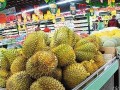 广西防城港：海运进口水果增长迅速 ()
