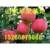 山東紅富士蘋果果園直銷