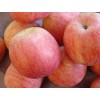 山东苹果产地条纹冰糖心红富士苹果最新价格