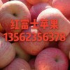 红富士苹果产地直销、质优价廉