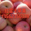 紅富士蘋果產地直銷、質優價廉