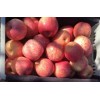 精品条纹冰糖心红富士苹果大量上市招商18669320078
