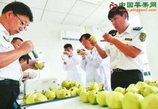 广东深圳：161斤非法入境水果被截获 ()