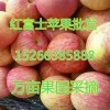 紙袋膜袋紅富士蘋果大量出售15266385888