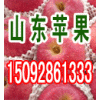15092861333紙膜帶紅富士蘋果入庫價