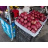东莞市果蔬副食交易市场