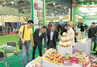 海南三亚：荣获“中国果业品牌建设突出贡献奖” ()