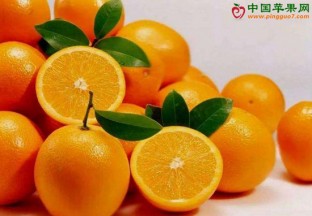 湖南永州：发展脐橙产业　促进百姓增收 ()