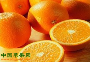 云南昆明：褚橙登陆市场 ()