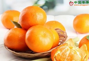 湖南怀化：柑橘产业电商扶贫网购节开幕 ()