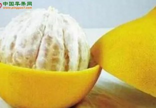 陕西宝鸡：清火水果市场走俏 ()
