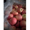 山东红富士苹果大量供应18315687688