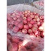 夲人大量供应各种规格红富士苹果