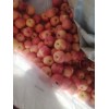 棲霞三級果大量出售電話13370937876
