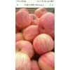 15266665888山東冷庫紅富士蘋果大量供應