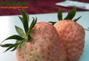 湖北武汉：专项抽检让市民放心吃草莓 ()