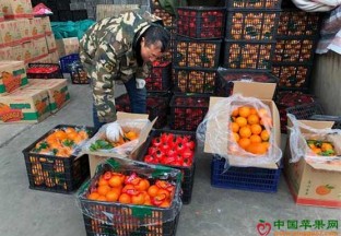 山东济宁：水果市场价格稳定 ()
