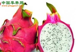 武汉蔡甸区：火龙果产业蓬勃发展 ()