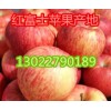冷庫紅富士蘋果0.5元每斤