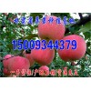 产地直销红富士苹果 庆阳苹果果真好 特产红富士苹果 片红条红红富士苹果 苹果水果