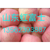 山东冷库红富士苹果掉价了13562393887
