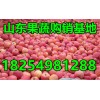１８２５４９８１２８８紅富士/紙袋/膜袋/紙夾膜蘋果產(chǎn)地