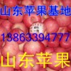 今天冷庫紅富士蘋果價格多少錢