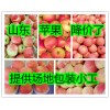 山東冷庫紅富士蘋果清庫處理