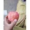 山東蘋果批發(fā)價格13954971461持續(xù)下滑