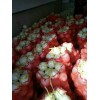 陜西大荔縣甜瓜產地，白肉甜瓜基地，紅肉甜瓜價格