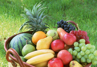 海南三亚：大力推进建设热带水果产业链 ()