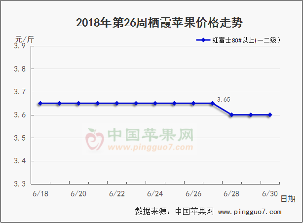 图片15