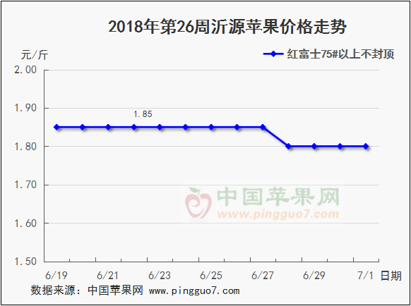 图片16