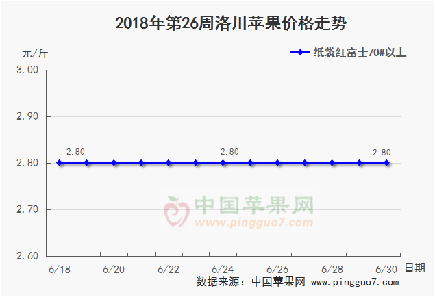 图片17