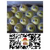 黃金梨產(chǎn)地批發(fā)價格