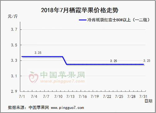 图片11