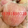 大荔县红富士苹果最新价格陕西优质红富士苹果产地价格